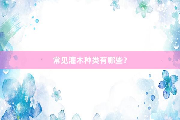 常见灌木种类有哪些？